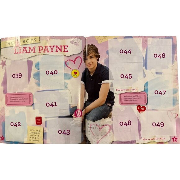 1D One Direction GROUP 10.5" x 9" Sticker Book w/Centerfold POSTER w/10 STICKERS - Picture 14 of 16